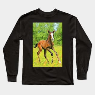 Horses Dogs Cats Pets & Farm animals 201 2020 Long Sleeve T-Shirt